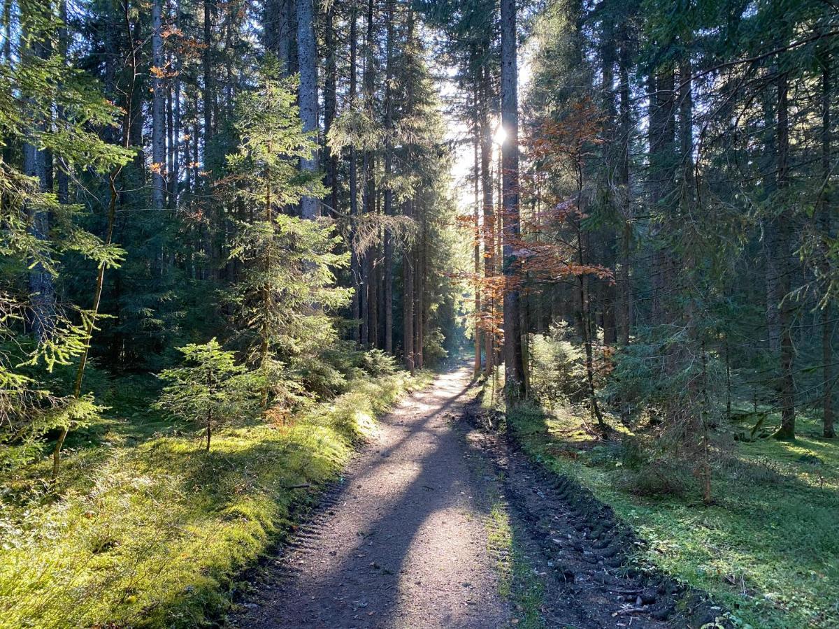 Ferienwohnung Waldblick Wilhelmsdorf المظهر الخارجي الصورة